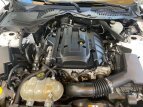 Thumbnail Photo 0 for 2017 Ford Mustang Convertible